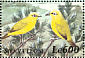 Northern Yellow White-eye Zosterops senegalensis  2000 Birds of Africa Sheet