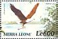 African Fish Eagle Haliaeetus vocifer  2000 Birds of Africa Sheet