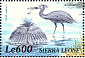 Black Heron Egretta ardesiaca  2000 Birds of Africa Sheet