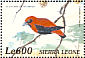 Black-winged Red Bishop Euplectes hordeaceus  2000 Birds of Africa Sheet