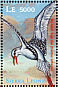 Red-billed Tropicbird Phaethon aethereus