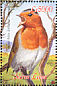 European Robin Erithacus rubecula  2003 Birds of Africa  MS