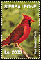Northern Cardinal Cardinalis cardinalis  2004 Beautiful birds of the world 