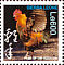 Red Junglefowl Gallus gallus