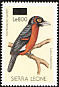 Double-toothed Barbet Lybius bidentatus  2008 Surcharge on 1988.01 