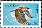 House Sparrow Passer domesticus  2009 Birds of Africa 