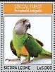 Senegal Parrot Poicephalus senegalus  2013 Parrots of Africa Sheet