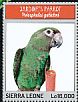 Red-fronted Parrot Poicephalus gulielmi  2013 Parrots of Africa  MS