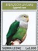 Grey-headed Lovebird Agapornis canus  2014 Lovebirds Sheet