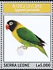 Yellow-collared Lovebird Agapornis personatus  2014 Lovebirds Sheet