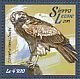 Beaudouin's Snake Eagle Circaetus beaudouini  2015 Birds of prey Sheet