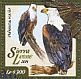 African Fish Eagle Haliaeetus vocifer  2015 African Fish Eagle Sheet
