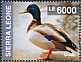 Mallard Anas platyrhynchos  2014 Farm animals 3v sheet