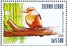 Grey-headed Kingfisher Halcyon leucocephala  2015 Kingfishers Sheet