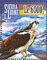 Osprey Pandion haliaetus  2015 Eagles Sheet