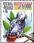 Grey Parrot Psittacus erithacus  2015 Parrots Sheet