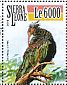 Northern Bald Ibis Geronticus eremita  2015 Ibises Sheet