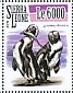 African Penguin Spheniscus demersus