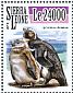 African Penguin Spheniscus demersus  2015 African penguins  MS