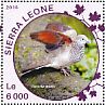 Zebra Dove Geopelia striata  2016 Doves Sheet