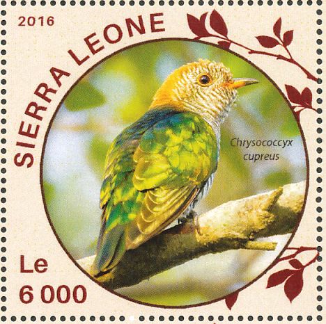 affected stamp