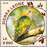 Asian Emerald Cuckoo Chrysococcyx maculatus  2016 Cuckoos Sheet