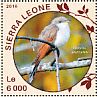 Yellow-billed Cuckoo Coccyzus americanus  2016 Cuckoos Sheet