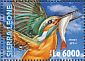 Common Kingfisher Alcedo atthis  2016 Kingfishers Sheet