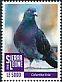 Rock Dove Columba livia  2018 Definitives 17v set