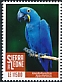 Hyacinth Macaw Anodorhynchus hyacinthinus  2018 Definitives 17v set