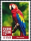 Scarlet Macaw Ara macao