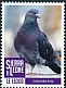 Rock Dove Columba livia  2022 Definitives 3v set