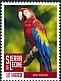 Scarlet Macaw Ara macao