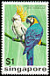 Blue-and-yellow Macaw Ara ararauna  1975 Birds 
