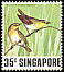 Indian White-eye Zosterops palpebrosus  1978 Singing birds 