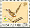 Common Tailorbird Orthotomus sutorius