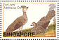 Malayan Peacock-Pheasant Polyplectron malacense  2002 William Farquhar collection Sheet