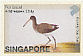 Black-tailed Godwit Limosa limosa  2002 William Farquhar collection Sheet, sa