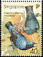 Asian Fairy-bluebird Irena puella  2002 Birds 