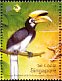 Oriental Pied Hornbill Anthracoceros albirostris  2004 Wildlife of Chek Jawa 4v set