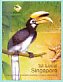 Oriental Pied Hornbill Anthracoceros albirostris  2004 Wildlife of Chek Jawa Booklet, sa