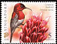 Crimson Sunbird Aethopyga siparaja