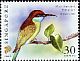 Blue-throated Bee-eater Merops viridis  2010 Flora and fauna 