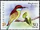 Blue-throated Bee-eater Merops viridis