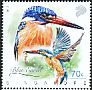Blue-eared Kingfisher Alcedo meninting