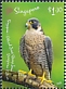Peregrine Falcon Falco peregrinus  2019 Joint issue with Poland 