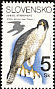 Peregrine Falcon Falco peregrinus  1994 Birds 