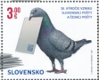 Rock Dove Columba livia  2023 Joint issue with Czech Republlic 