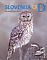 Ural Owl Strix uralensis  2014 Birds sa