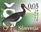 Black Stork Ciconia nigra  2015 Birds sa